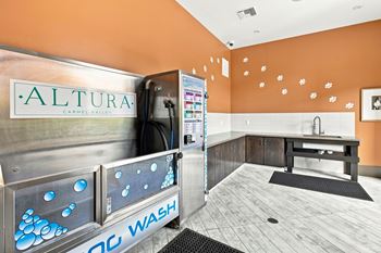 Pet spa / dog wash station